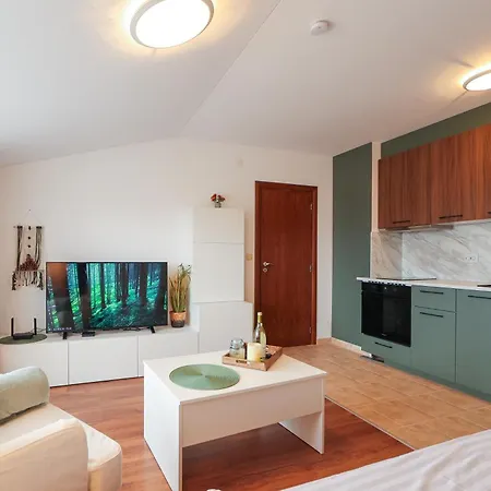 Modern 1Br Mountain View Spa Walk To Ski Lift בנסקו