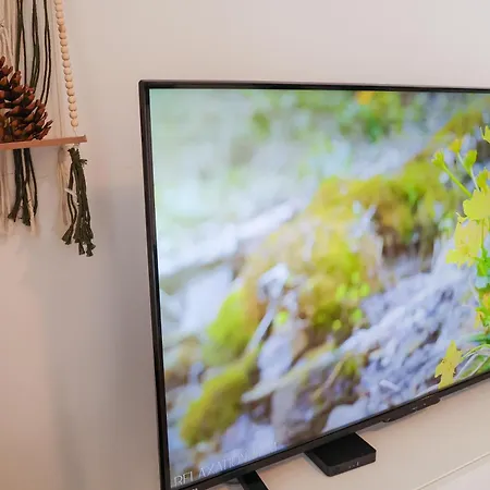 Modern 1br Mountain View Walk To Lift Lägenhet